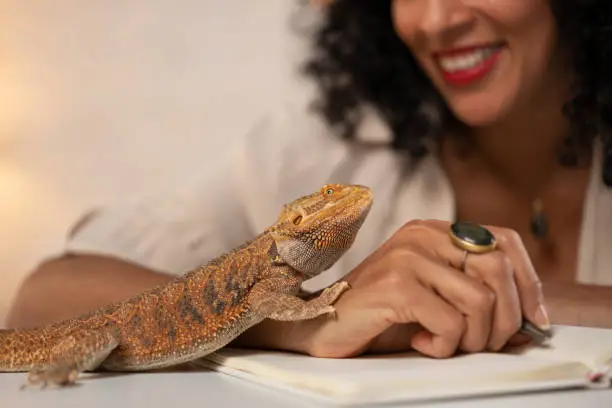 "Gavel resting on a stack of law books with a bearded dragon and parrot in the background, symbolizing exotic pet legislation"